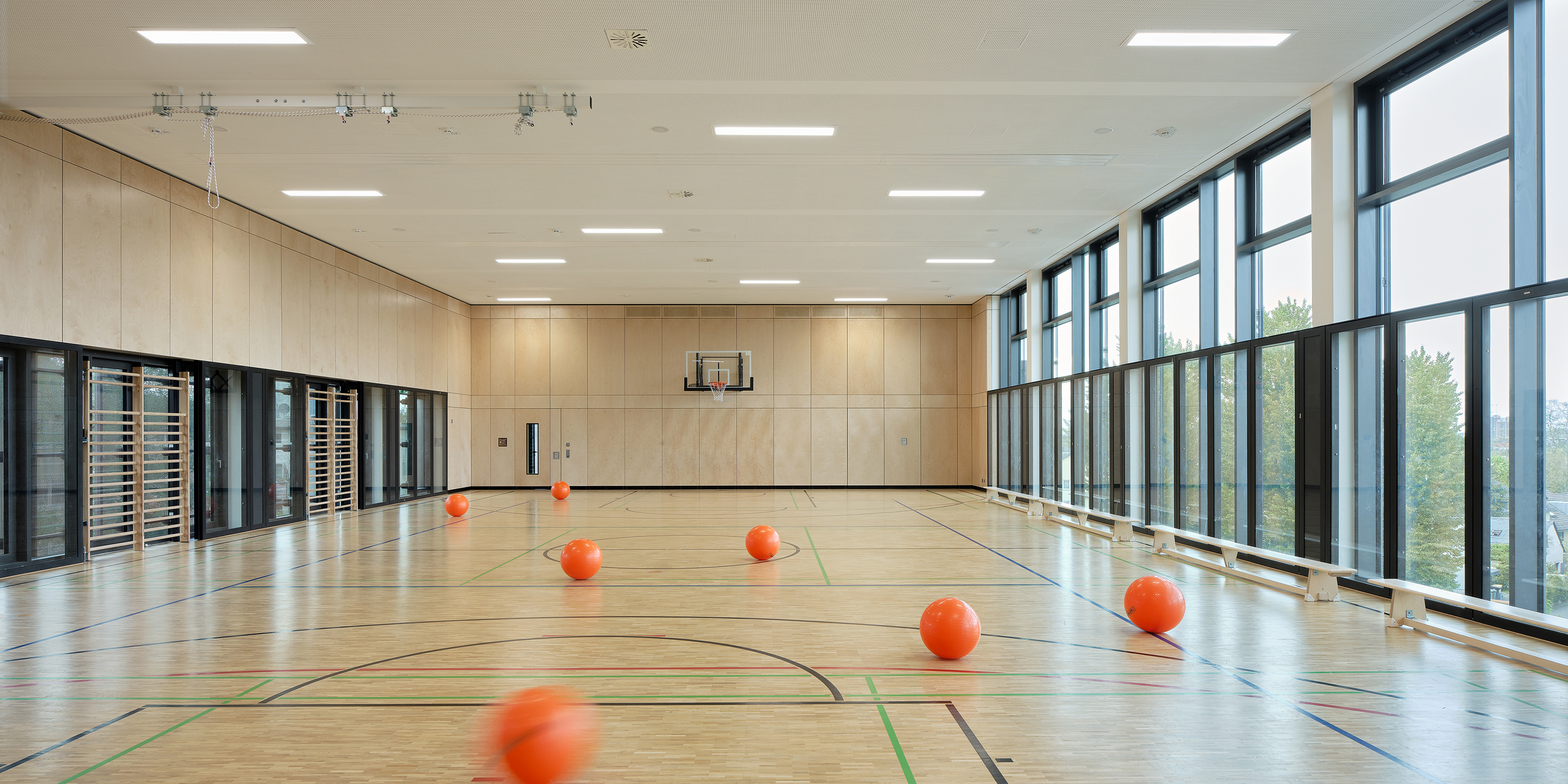 Viele Basketbälle auf dem Boden einer Sporthalle. Seitlich sind Glaswände